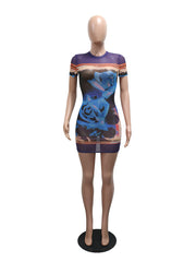 Sexy Print Stretch Sheer Mesh Mini Dress