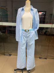 Casual Lapel Long Sleeve Shirt And Trousers Set