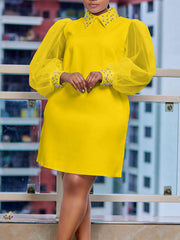 Elegant Turn Down Collar Loose Dress