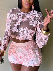 Embroidered Sheer Mesh Crop Top And Chic Shorts Sets
