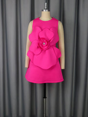Sexy Round Neck Sleeveless Flower Appliques Mini Dress