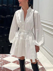 Elegant Lantern Sleeve Embroidery Party Mini Dress