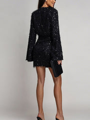Sexy Deep V Neck Long Sleeve Sequin Mini Dress