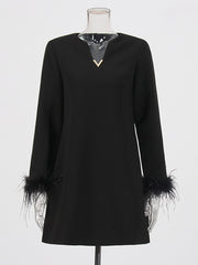 Fashion V Neck Long Sleeve Feather Mini Loose Dress
