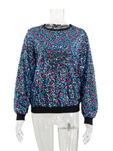 Rainbow Sequin Round Neck Pullover Top
