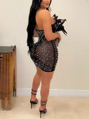Sexy Rhinestone Feather See Through Club Party Dress