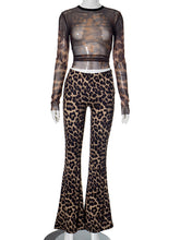 Leopard Print See Through Mesh Trousers Club Sets