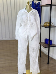 Casual Sheer Shirt And Straight Trousers Two Piece Set