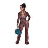 Animal Print Mesh Zip Top and Flared Pants Set