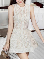 Elegant O Neck Sleeveless Embroidered Tulle Mini Dress