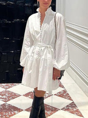 Elegant Lantern Sleeve Embroidery Party Mini Dress