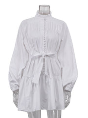 Elegant Lantern Sleeve Embroidery Party Mini Dress