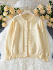 Casual Round Neck Crochet Knit Cardigan Sweater