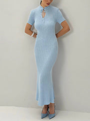 Elegant Round Collar Bodycon Knit Maxi Dress