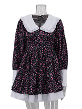 Doll Collar Flower Print Cinched Waist Mini Dress