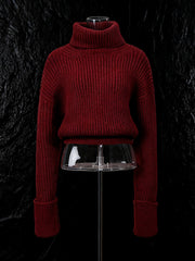 Casual Turtleneck Long Sleeve Slim Knit Sweater
