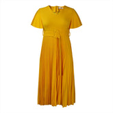 Casual Ruffle Sleeve Pleated Dress