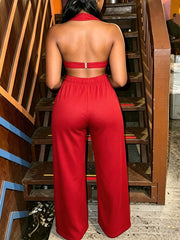Sexy Halter Crop Top Two Piece Outfits