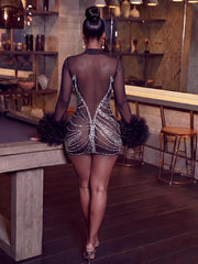 Rhinestone Mesh Feather Trim Mini Dress