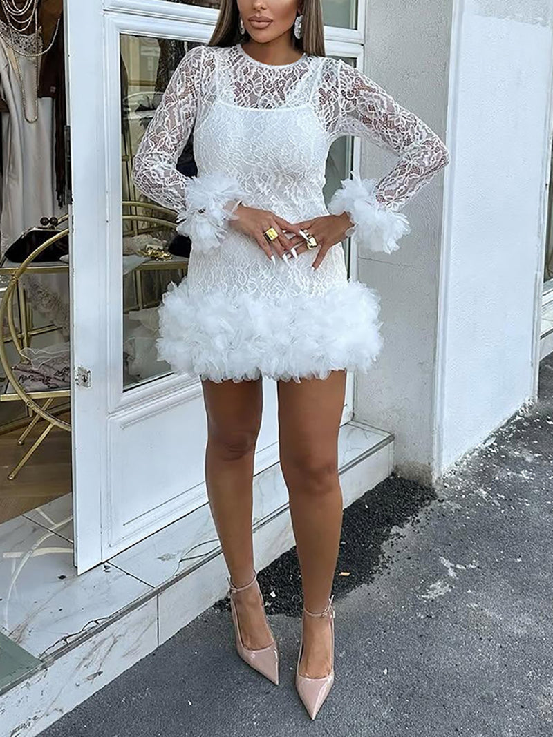 Sexy Lace Round Neck Mini Dress