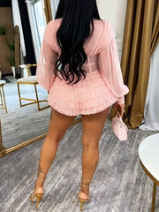 Sexy V Neck Sheer Mesh Club Mini Dress
