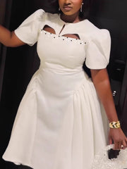 Elegant Puff Sleeve Cinched Waist Slim Party Dress