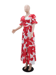 Elegant V Neck Floral Print Pleated Evening Dress