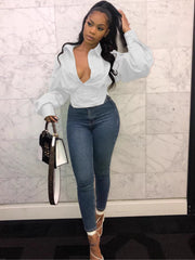 Balloon Sleeve Fitted Blouse