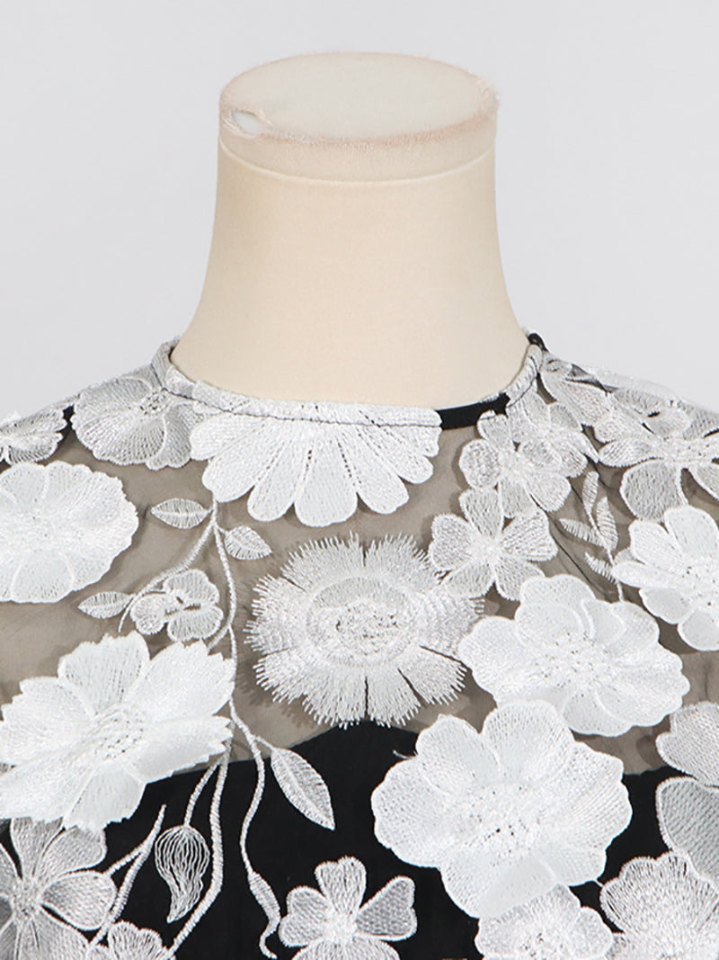Elegant Embroidery Applique Mesh Dress
