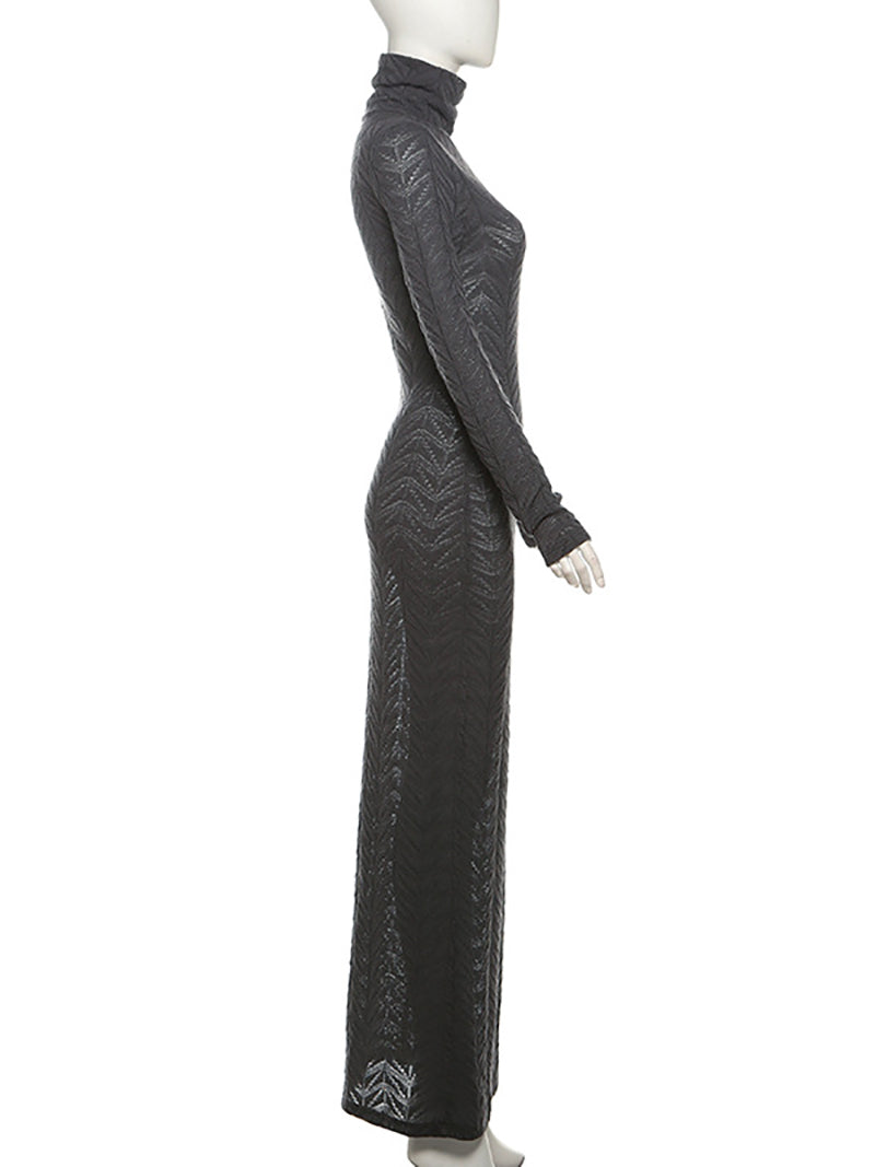 See Through Turtleneck Bodycon Maxi Dress