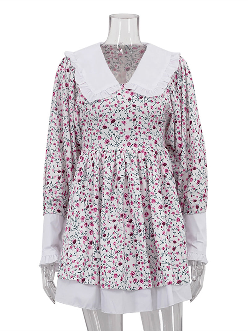 Doll Collar Flower Print Cinched Waist Mini Dress