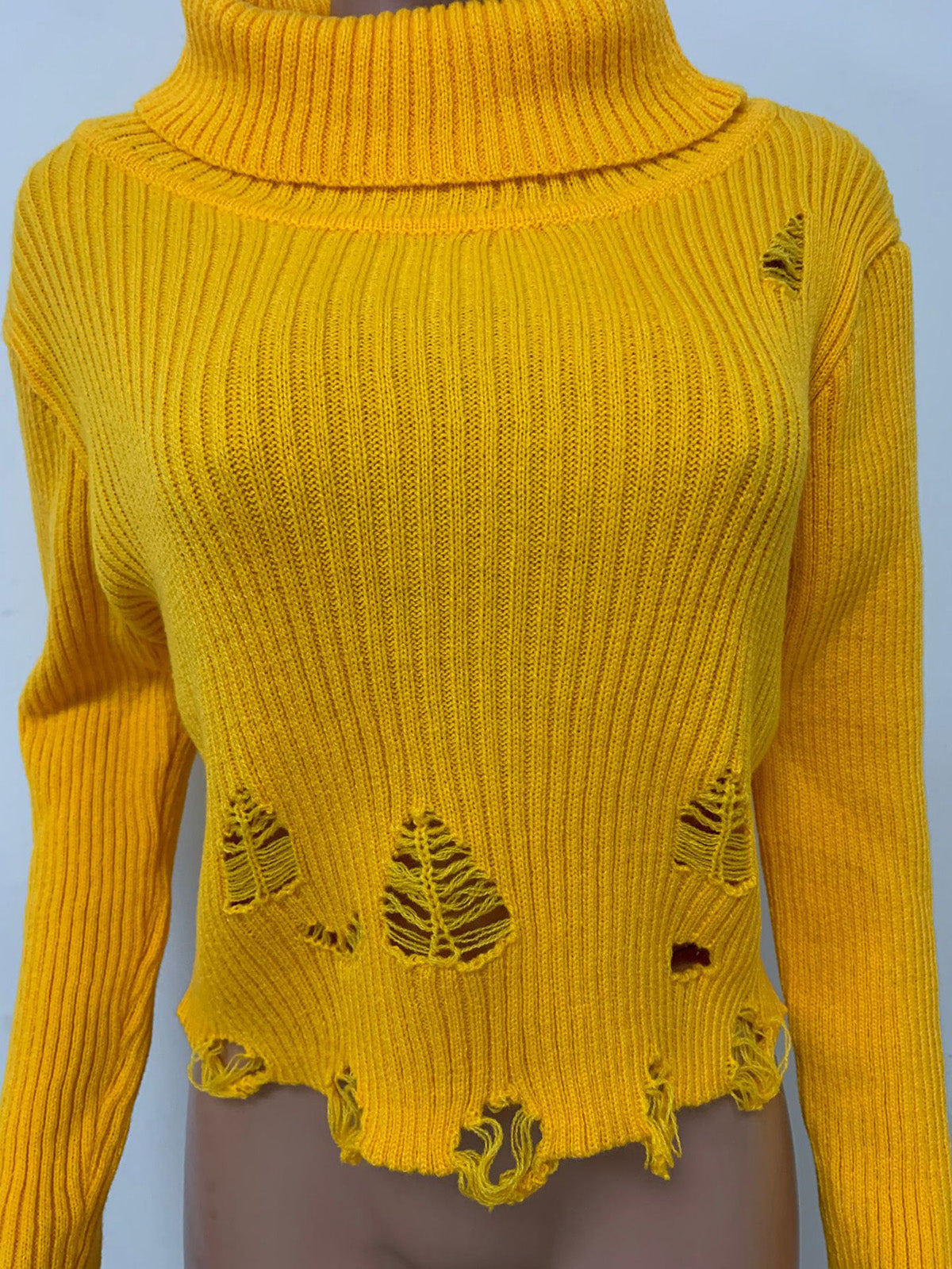 Fashion Turtleneck Fringe Crop Sweater