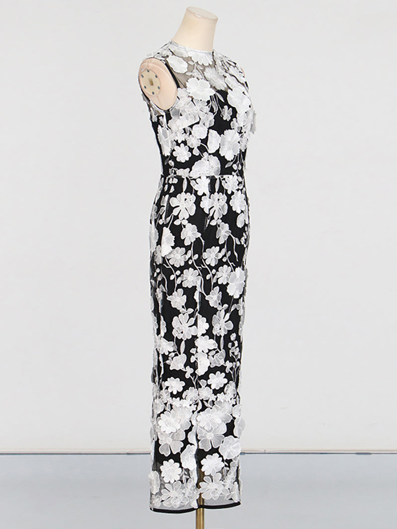 Elegant Embroidery Applique Mesh Dress