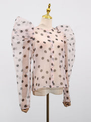 Elegant Sheer Spliced Wave Point Single Breasted Shirt