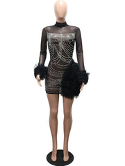 Rhinestone Mesh Feather Trim Mini Dress