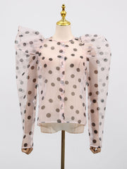 Elegant Sheer Spliced Wave Point Single Breasted Shirt