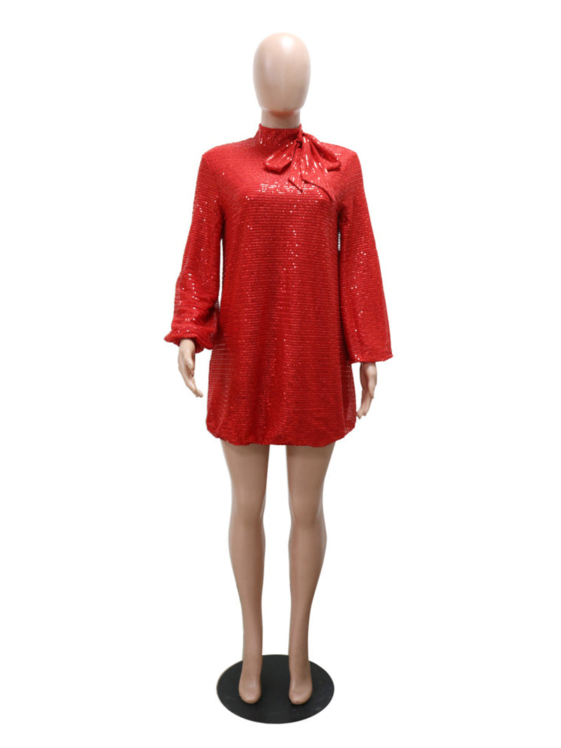 Plus Size Loose Sequin Bubble Dress