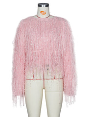 Fringe Sequin Cropped Knit Sweater