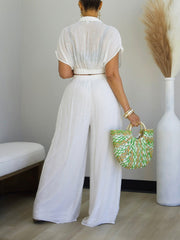 Casual V Neck Crop Top And Wide Leg Pants Set