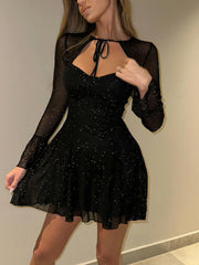 Glitter Mesh Tie Neck A Line Mini Dress