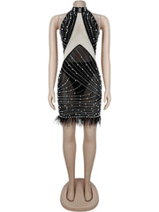 Sexy Mesh Sleeveless Rhinestones Feather Mini Dress