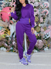 Casual Hooded Cinched Waist Top Jogger Pants Set