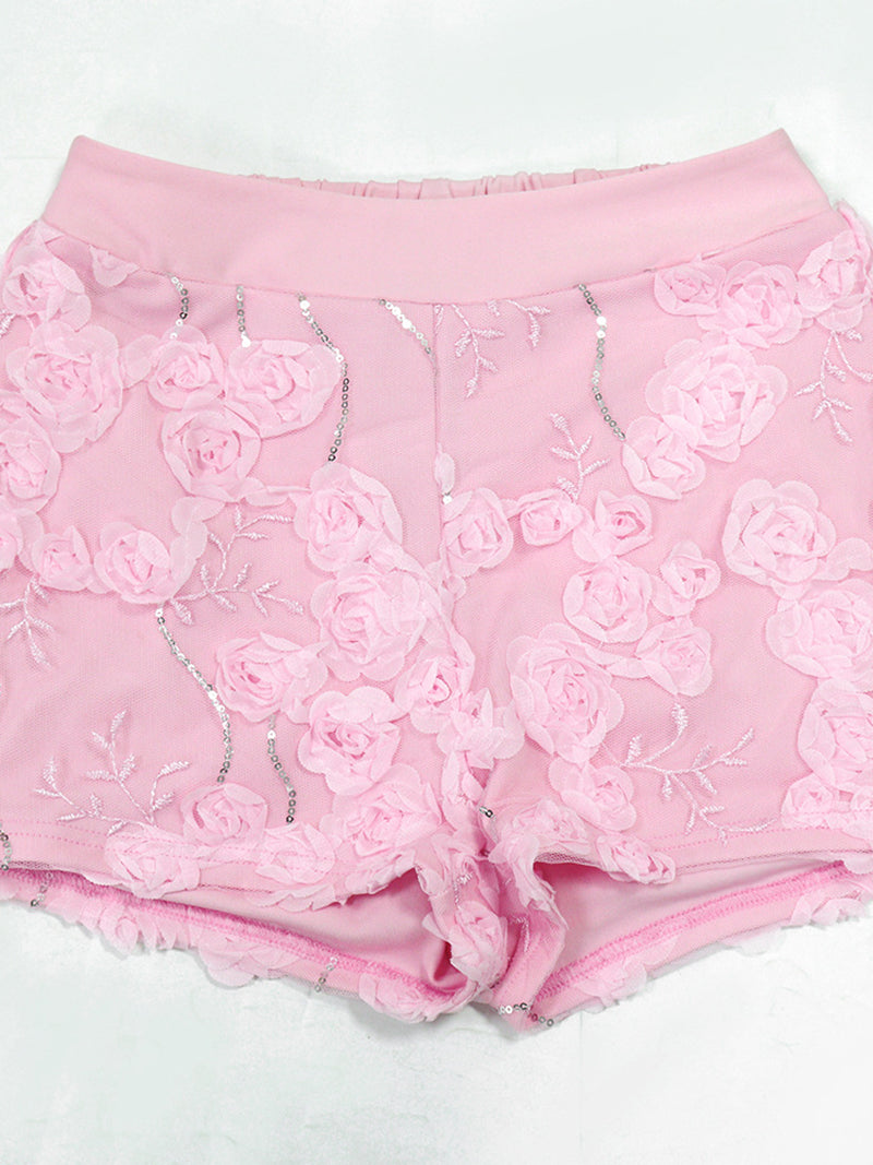 Embroidered Sheer Mesh Crop Top And Chic Shorts Sets