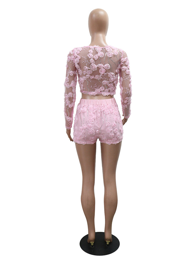 Embroidered Sheer Mesh Crop Top And Chic Shorts Sets
