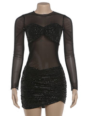 Sheer Mesh Long Sleeve Sequin Mini Dress