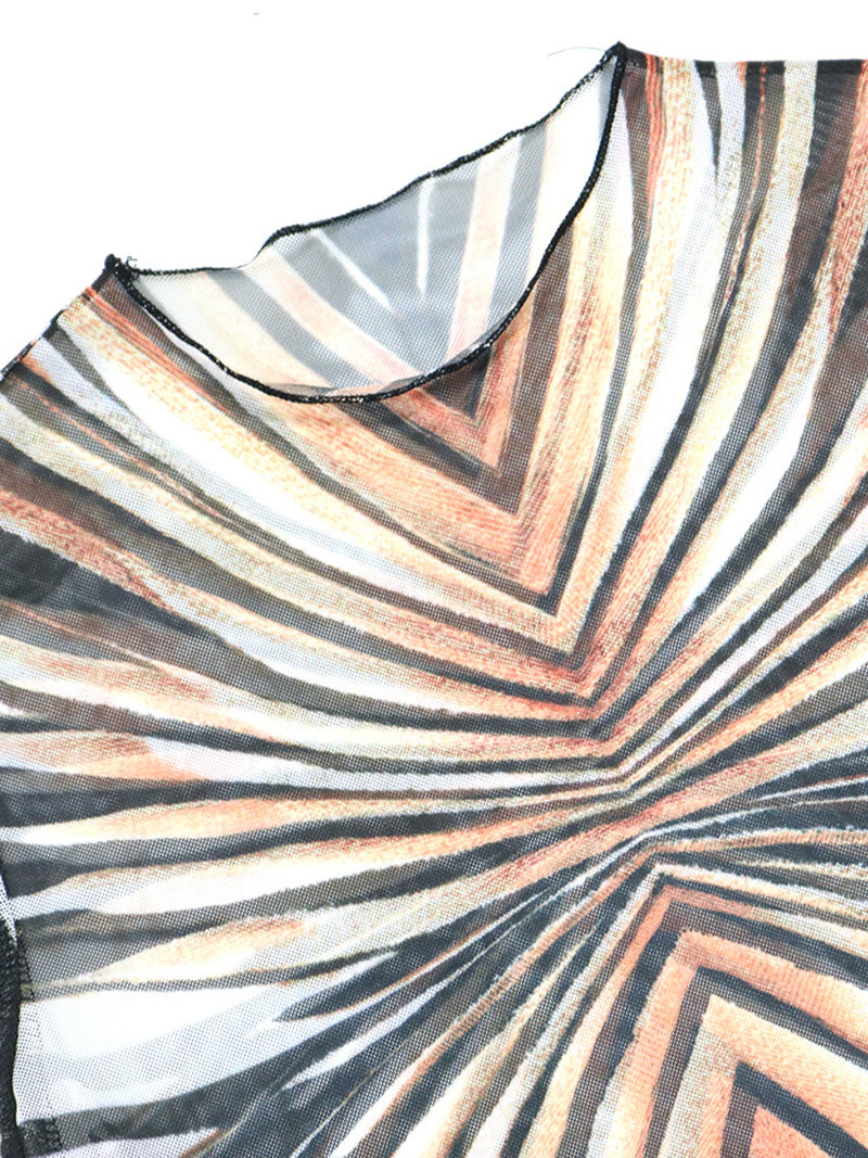 Round-neck Print Sheer Mesh Crop Top Slim Pant Sets