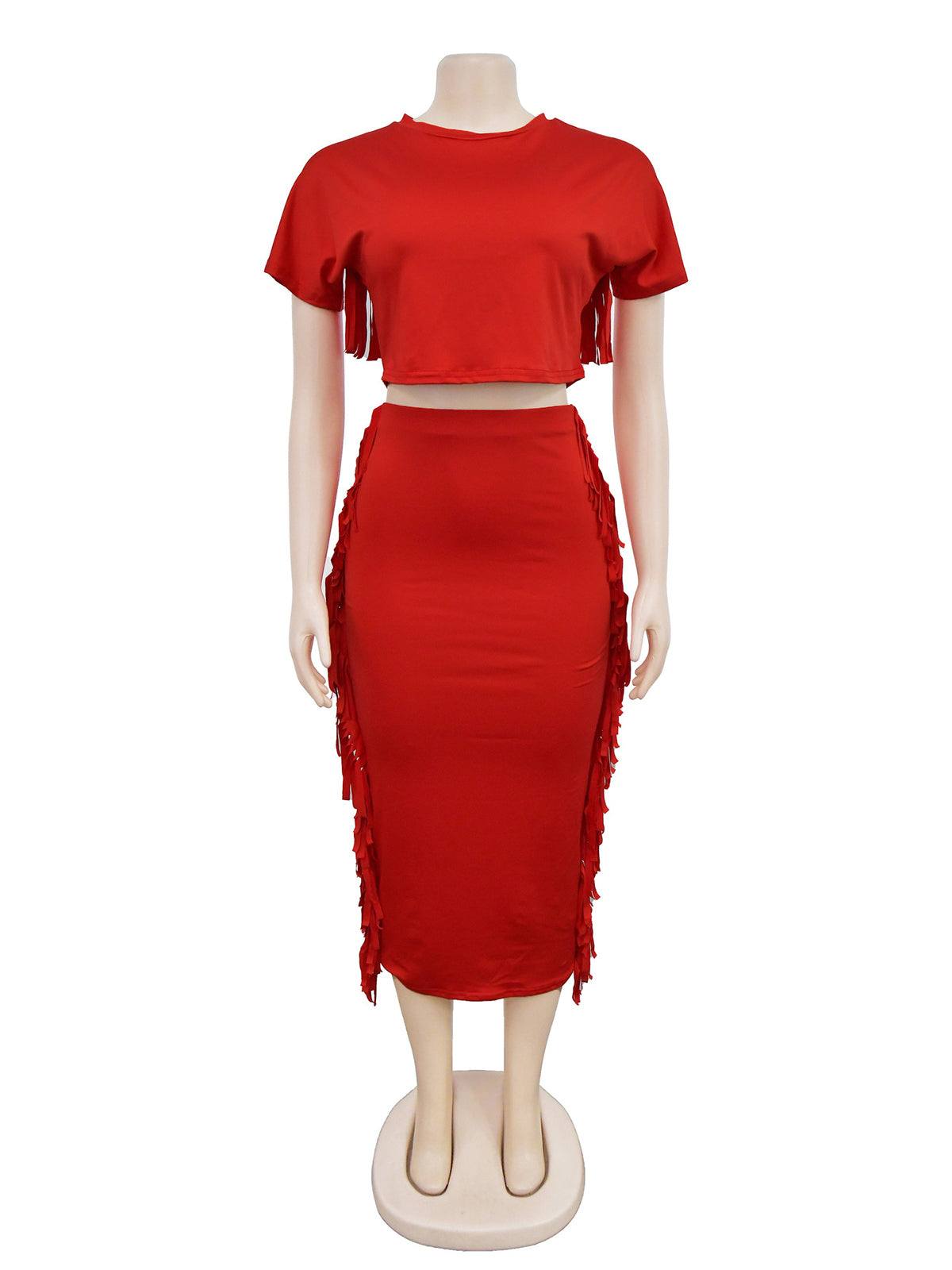 Round Neck Crop Top Tassels Skirts Casual Set