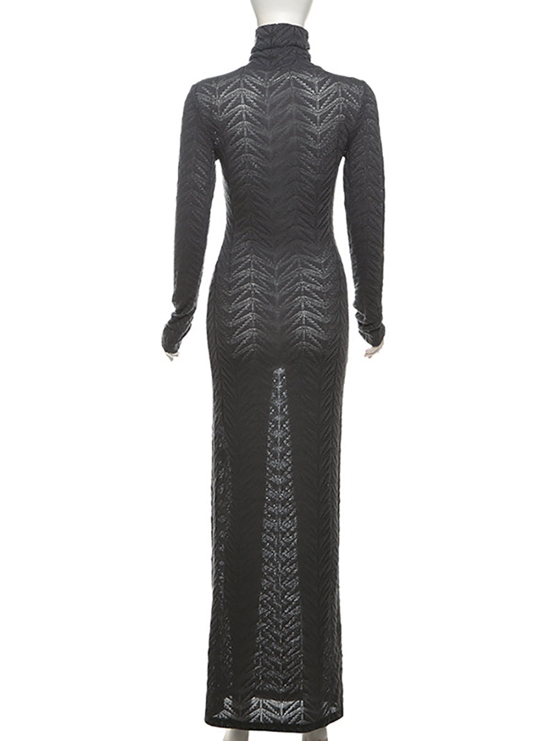 See Through Turtleneck Bodycon Maxi Dress