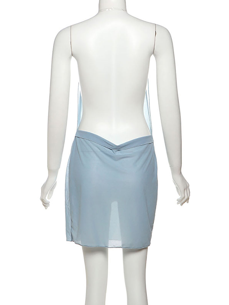 Backless Sexy Sheer Mesh Mini Halter Dress