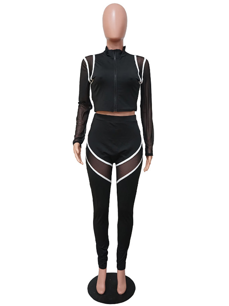 Casual Zipper Crop Top Tight Pants Sports Two Pieces